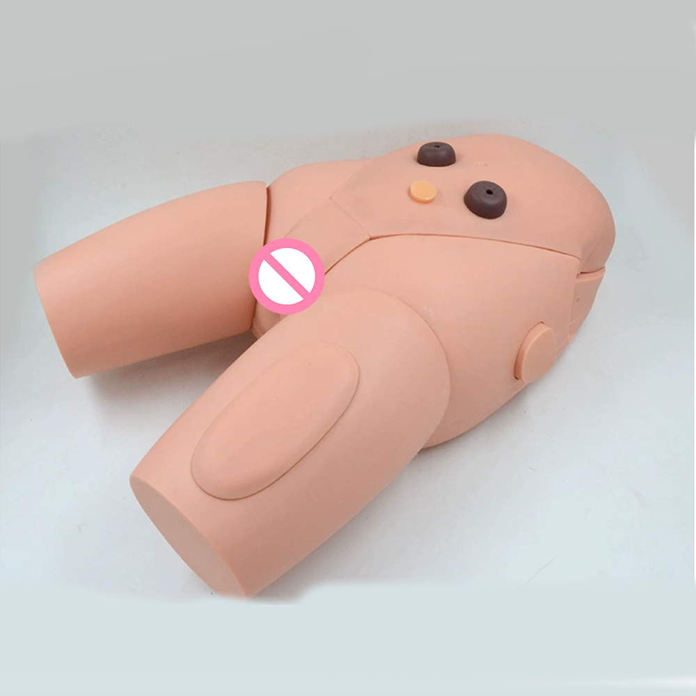 China Advanced High Quality Human Nursing Training Male Urinary Genitalia  And Urethral Catheterization enama medical Model Manufacturer and Factory |  Yulin Edu