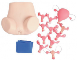 Portable Female Lower Body Simulator for Gynecological Training YL2-0401 （HYE 200G）