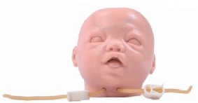 Csecsemőfej vénapunkciós képzési modell