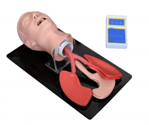 Zaawansowany model szkolenia medycznego Nauczanie medyczne Intubacja przez usta i nos Zaawansowany model intubacji tchawicy u dorosłych