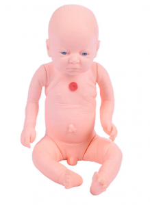 Advanced infant tracheotomy nursing model