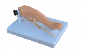 Advanced infant leg venipuncture model
