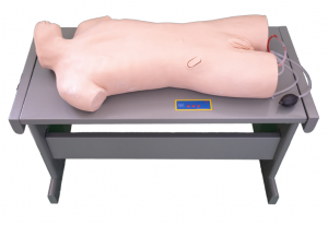 Electronic standardized patient model for comprehensive puncture training