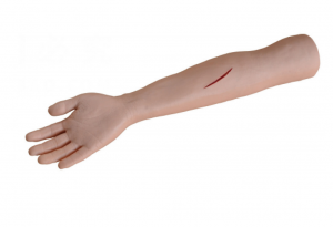 Advanced surgical sutured arm model
