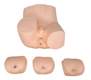 Advanced digital rectal examination model