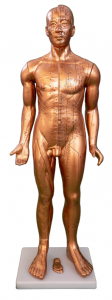 Body acupuncture bronze 84CM