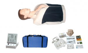 Half Body CPR Training Manikin for Professional Medical Education