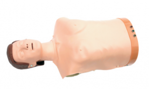 Half Body CPR Training Manikin