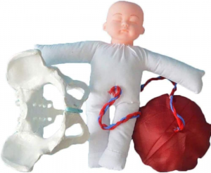 Life Size Female Childbirth Model Midwifery Training Model with Separable Baby and Pelvis with Doll/with Umbilical Cord/with Placenta for Gynecology Teaching