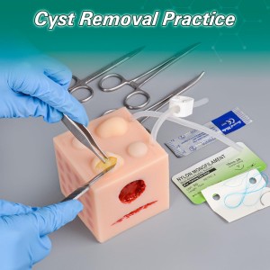 Multifunctional Medical Practice Model, Including Injection Practice, Cyst Removal, Moles and Skin Tags Practice, Wound Care for Nursing Students