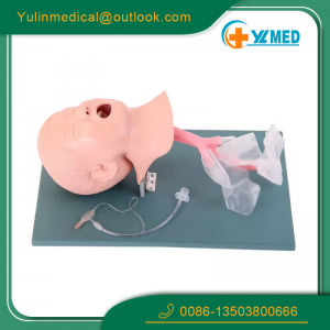 Medical Resource Teaching Model Advanced Pediatric Tracheal Intubation Model