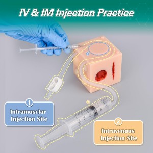 Multifunctional Medical Practice Model, Including Injection Practice, Cyst Removal, Moles and Skin Tags Practice, Wound Care for Nursing Students