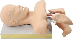 Advanced tracheal intubation training model Electronic adult tracheal intubation simulates CPR