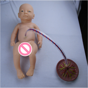 Medical science advanced neonatal care model (boy&girl) human medical care model