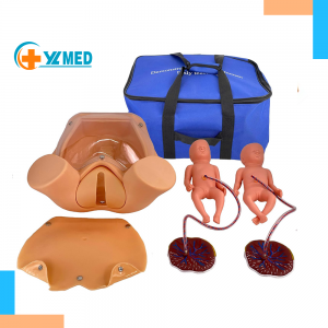 Childbirth Comprehensive Skills Simulator Training Model Pelvic Anatomical Childbirth Delivery Parodynia Training Model with Two Fetuses (1 Male, 1 Female) Two Placentas for Gynecology Teaching