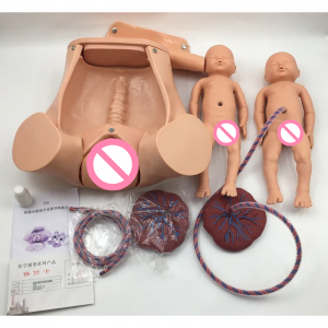 Gevorderde kraamlewering omvattende vaardigheidsopleidingsmodel swangerskapsmodel geboortesimulator ginekologiese oefenpop