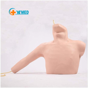 Medical Science PVC Intubation Model Anatomical Nursing Manikin for Peripheral and Central Venous Puncture Training