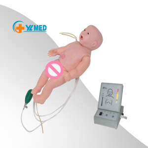Advanced cardiopulmonary resuscitation and nursing integrated simulated infant model