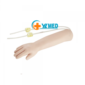 Factory direct marketing medical science nurse training assessment arm vein puncture injection model