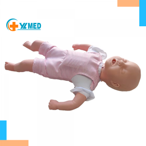 Medical teaching nursing Infant Obstruction Mode