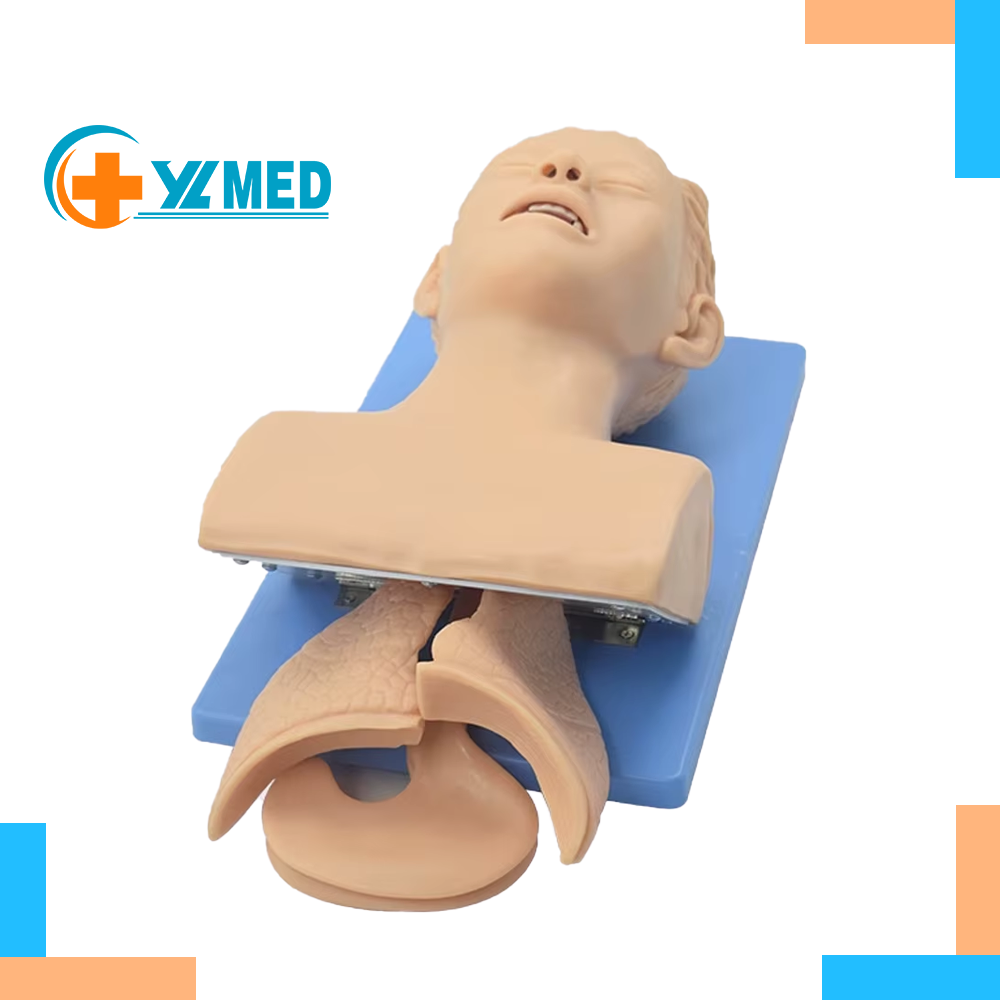 Medical Science Tracheal intubation Human head Body Model Training cpr manikins nursing training medical manikins cpr manikin