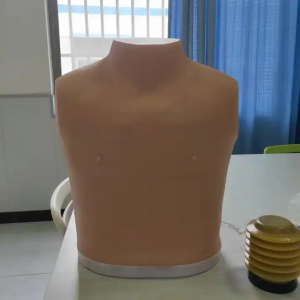 Medical science pneumothorax treatment model decompression, chest drainage simulator model