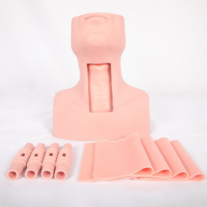 Tracheostomy Simulator Model, PVC Cricothyrotomy, Tracheostomy Care Training Manikin with Simulated Trachea and Neck Skin – Airway Management Teaching Aid Kit for Science Lab Study Practice