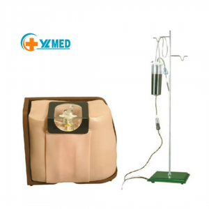 Human Nursing Lumbar Puncture Medical Training Model Lumbar Anesthesia Epidural and Caudal Anesthesia Training Simulator